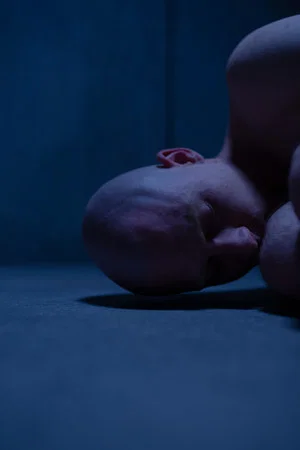 Постер: Incarnation