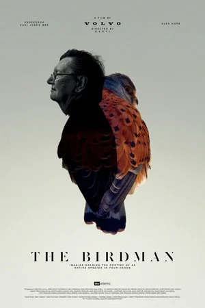 Постер: The Birdman