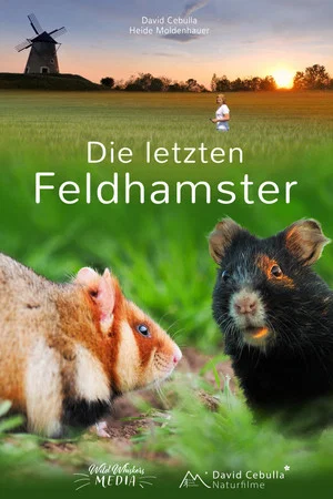Постер: The Last Common Hamsters