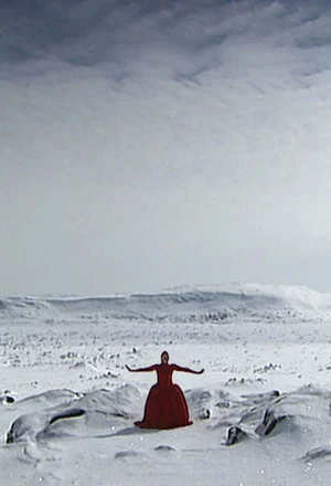 Постер: Invisible