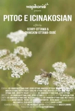 Постер: Pitoc E Icinakosian