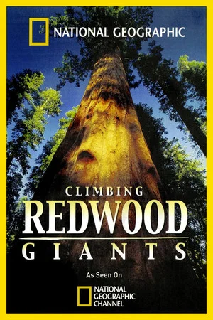 Постер: Climbing Redwood Giants