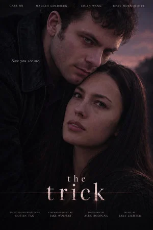 Постер: The Trick