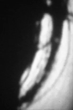Постер: Film digitalia, No. 15