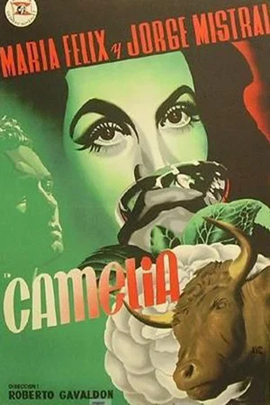 Постер: Camelia
