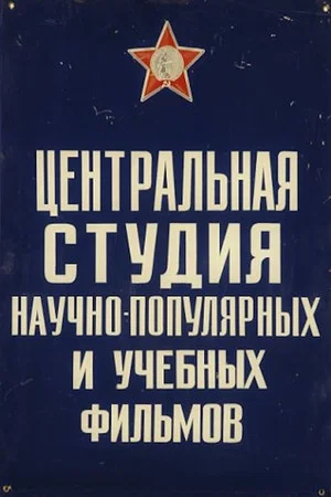 Постер: У магнита есть секреты
