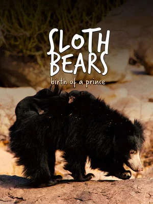 Постер: Sloth Bears: Birth of a Prince
