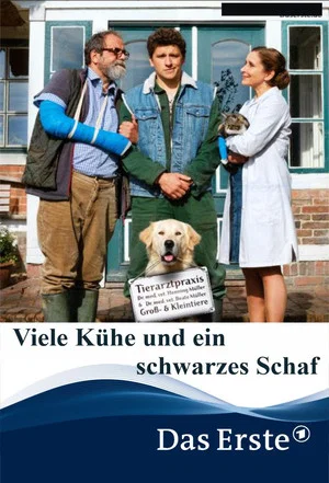 Постер: Viele Kühe und ein schwarzes Schaf