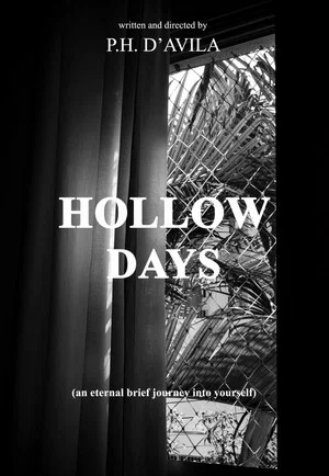 Постер: HOLLOW DAYS - an eternal brief journey into yourself