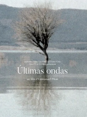 Постер: Últimas ondas