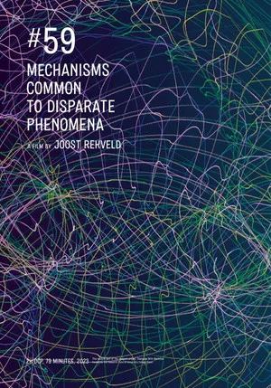 Постер: Mechanisms Common to Disparate Phenomena: #59