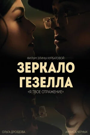 Постер: Зеркало Гезелла