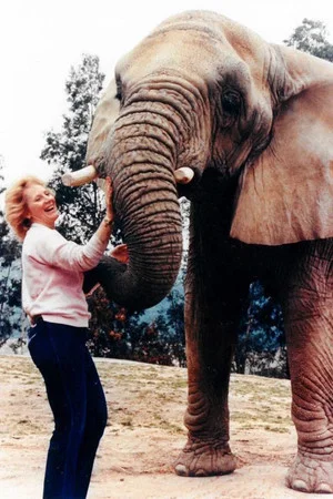 Постер: I Talk to Animals