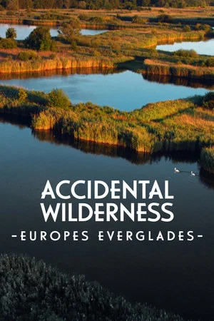 Постер: The Accidental Wilderness: Europe's Everglades