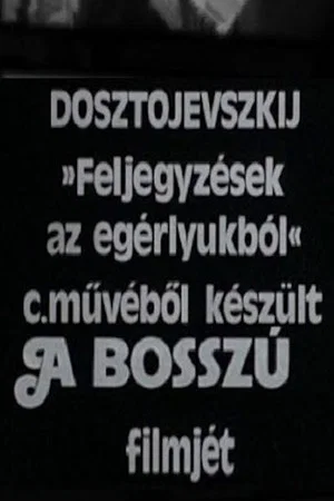 Постер: A bosszú