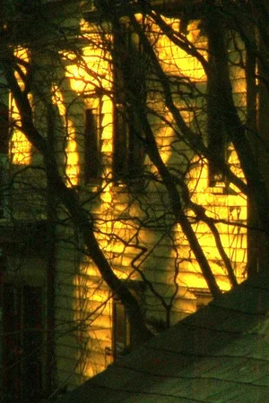 Постер: Tableaux Vivants