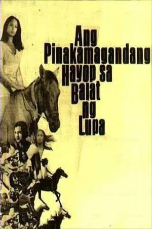Постер: The Most Beautiful Creature on the Face of the Earth