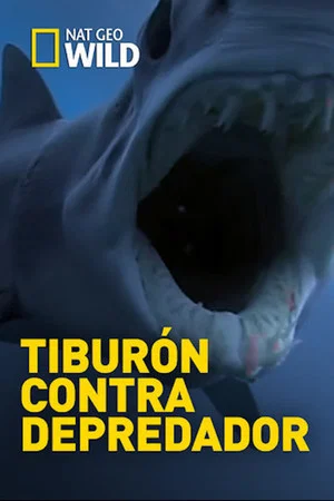 Постер: Shark Vs Predator