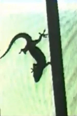 Постер: Lizard, or How to Perform in Front of the Reptile