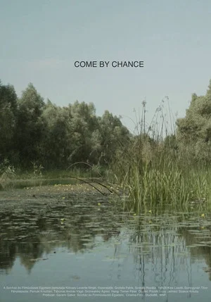 Постер: Come by Chance