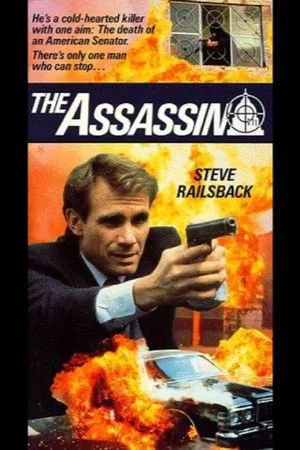 Постер: The Assassin