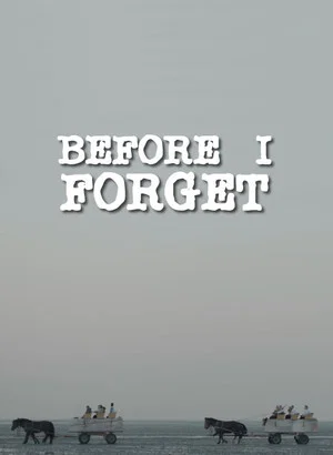 Постер: Before I Forget