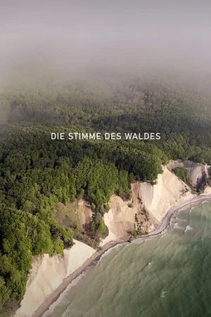 Постер: Die Stimme des Waldes