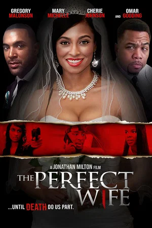 Постер: The Perfect Wife