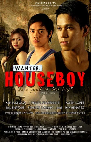 Постер: Wanted: Houseboy