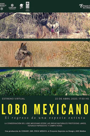 Постер: Lobo Mexicano
