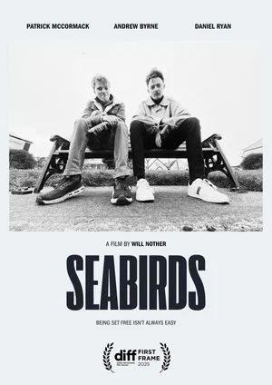 Постер: Seabirds