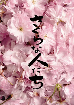 Постер: Looking for Cherry Blossoms