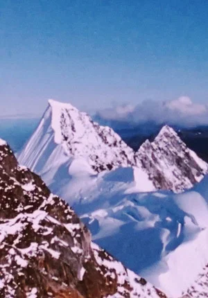 Постер: Wilderness: A Country in the Mind
