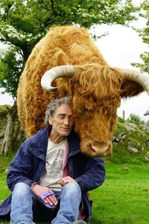 Постер: Tony & The Bull