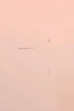 Постер: Out of Autofocus