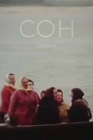 Постер: The Dream