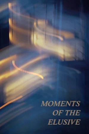 Постер: Moments of the Elusive
