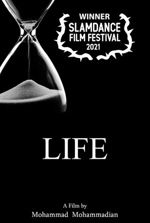 Постер: Life
