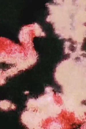 Постер: Hejira, Fragmented