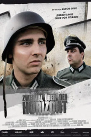 Постер: Twice over the horizon