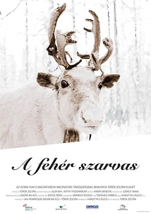 Постер: The White Reindeer