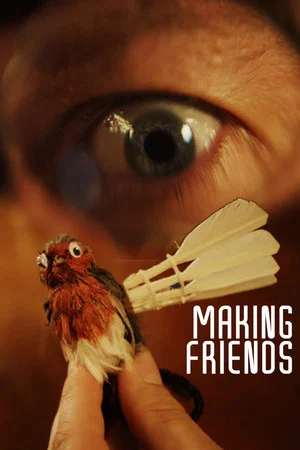 Постер: Making Friends