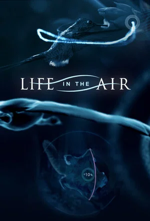 Постер: Life in the Air