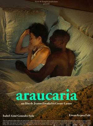 Постер: Araucaria