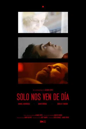 Постер: Solo nos ven de día