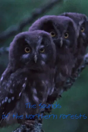 Постер: The Sounds of the Northern Forests