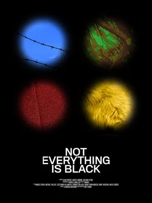 Постер: Not Everything Is Black