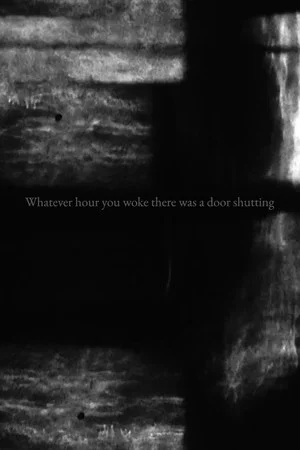 Постер: Whatever hour you woke there was a door shutting