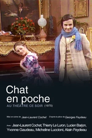 Постер: Chat en poche