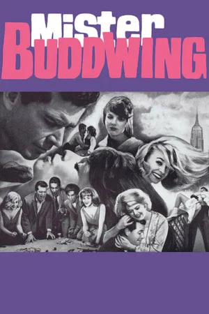 Постер: Mister Buddwing